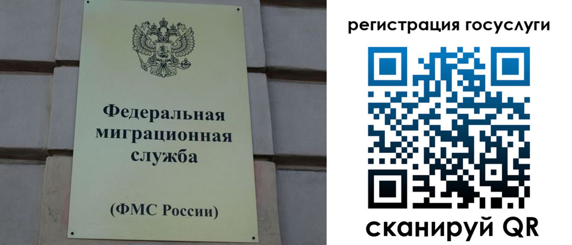 временная регистрация поиск в Камешково